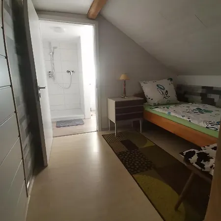 Apartamento Gaestezimmer Im Altbau Dachgeschoss Mit Kleinem Bad Wlan, Tv Und Parkplatz *